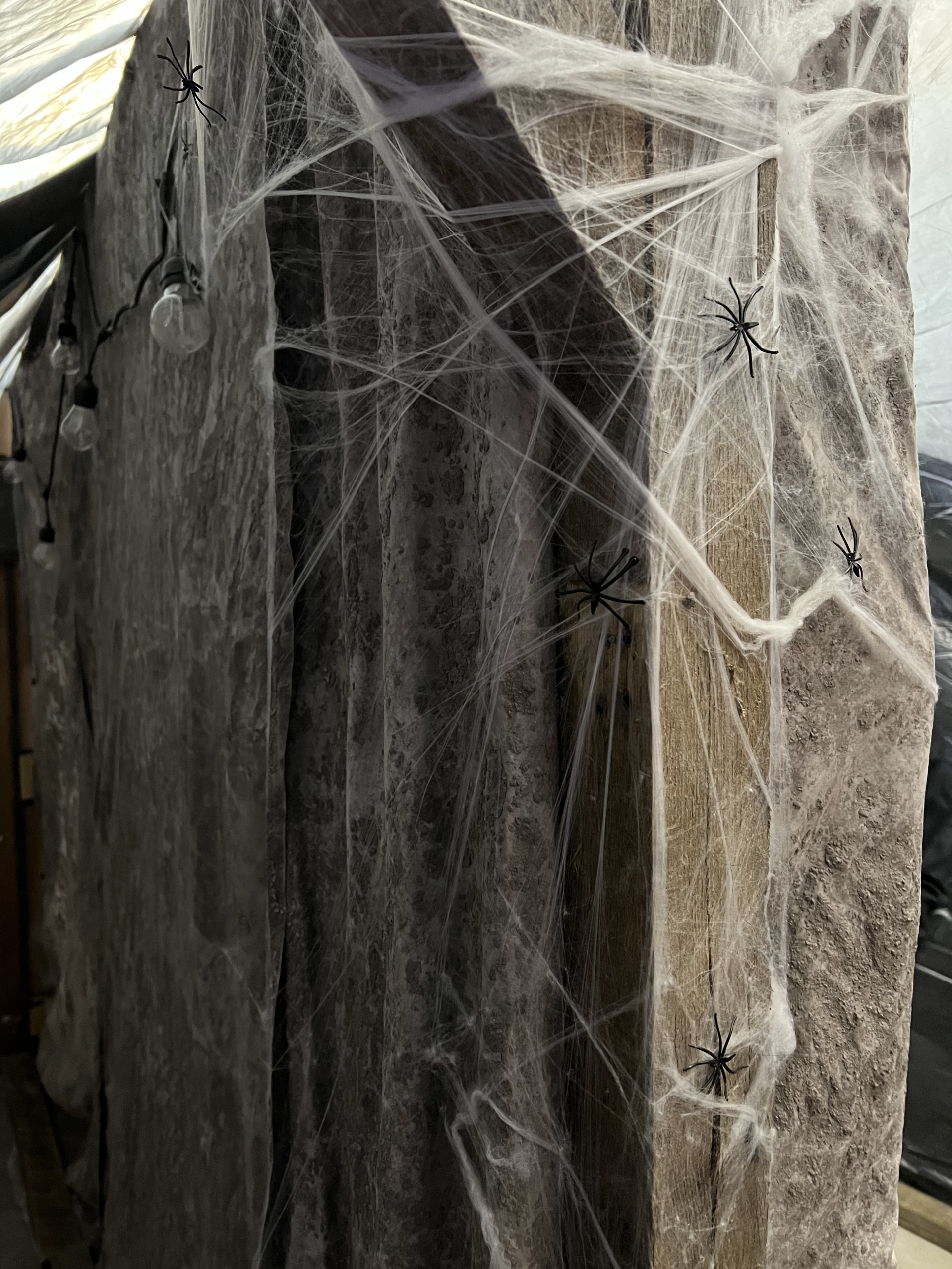 2024-cursed-mine-IMG_9752 2