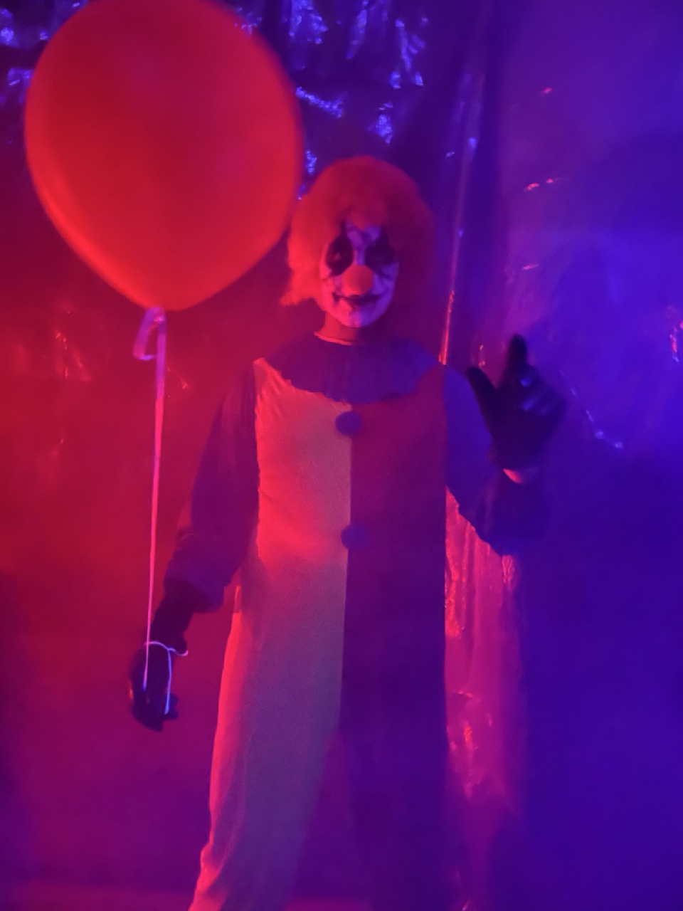 2022-carnival-IMG_6344 Large